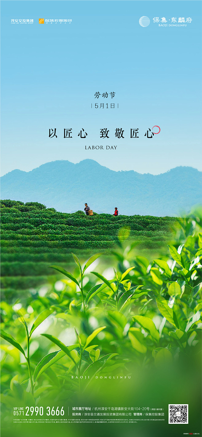 劳动节 茶园 天空