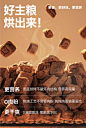 低温烘焙狗粮-35