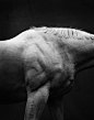Shoulder ​​​​
