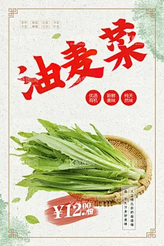 油麦菜  - 源文件下载【酷图网】油麦,新鲜油麦,绿色油麦,美味蔬菜,营养蔬菜,绿色蔬菜,油麦海报,油麦广告,油麦高炮,油麦装饰画,开洋娃娃菜,菜籽,儿儿菜,干锅,油麦挂画,油麦宣传,油麦画册,油麦灯箱,油麦杂志,油麦折页,油麦包装,油麦彩页,菜谱内页,菜牌,水果宣传,蔬菜展板,蔬菜超市,蔬菜市场,蔬菜广告,蔬菜,海鲜,超市,
