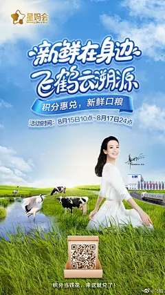 飞鹤的照片 - 微相册
