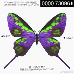 小星星变奏曲采集到场物参考