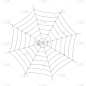 蜘蛛网,剪贴画,绘画插图,矢量,怪异,背景分离,惊骇,恐怖,蜘蛛纲,动物