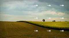 景观 的土地 天空 4K壁纸1920X1080 美丽的壁纸 云