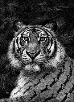 Ricardo Martinez黑白动物插画