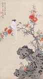 #飞花令# |

主题【鸟】，评论里写出带“鸟”的诗词。

鸟何萃兮苹中，罾何为兮木上。 ​​​​