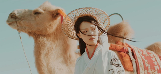 机智的党妹