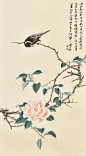 微博国画的照片 - 微相册