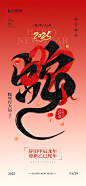蛇年新春春节海报