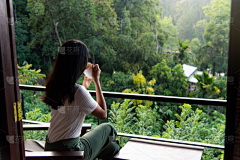 韦锡纯采集到茶li'he