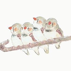 素眉妖豔ヅ采集到手绘