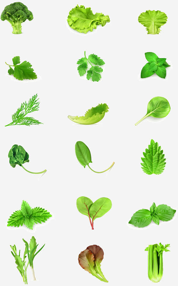 绿色生态果园蔬菜图形标识ICON图标88...