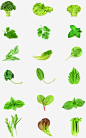 绿色生态果园蔬菜图形标识ICON图标88ICON