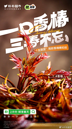 掉进染缸的小鱼采集到海报——美食