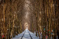 隧道,乌克兰,雪,著名自然景观,车站月台,冬天,栏杆,树,爱,日落