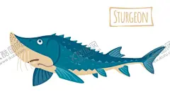 手绘鱼类卡通插画图片 【酷图网】海洋鱼,鱼素材,海鱼,素材,鱼类素材,鱼类矢量素材,手绘鱼类,设计,生物世界,卡通鱼,海洋生物,海星,海底世界,鱼,水草,鱼类,矢量鱼,可爱鱼,卡通图案,鱼类插画,鱼汇总,观赏鱼,大海,海浪,创意,手绘,卡通,海洋,卡通海洋生物,热带鱼,深海鱼,水母,河豚,鲨鱼,手绘插画,墙绘,彩绘