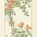 艺术｜新艺术风格花纹 来自-潭月- - 微博