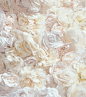 Glamorous, gorgeous ivory roses