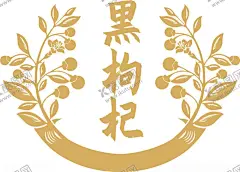 黑枸杞矢量图 【酷图网】黑枸杞矢量,黑枸杞,黑枸杞线条,宁夏特产,黑枸杞插画