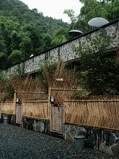 入山居｜这营地挺舒服的