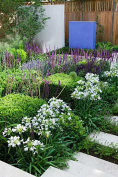 景观绿化#zoscape#植物景观#植物配置#植物造景 #花境tjnimctl采集到