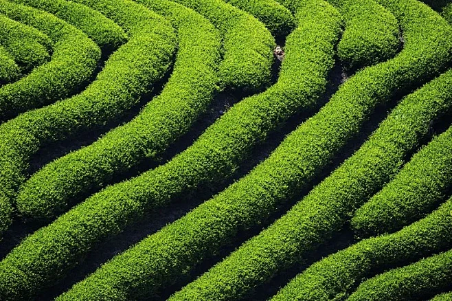 自然博物馆 南平图片下载