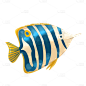 手绘-海洋生物元素-热带鱼