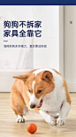Hoopet狗狗玩具小型犬自嗨解闷智能球宠物幼犬小狗玩具球比熊泰迪柯基自动逗狗训狗神器狗用品 自动逗狗球 蓝色【图片 价格 品牌 报价】-京东