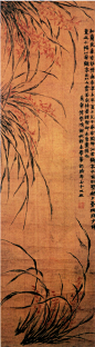金农 《兰花图》 纸本墨笔 南京博物院藏
