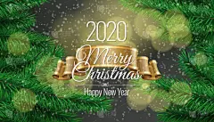 2020,新年前夕,华丽的,请柬,事件,贺卡,传单,华贵,一月,雪