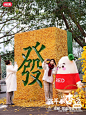小红书 X 成都植造新春艺术装置｜巨型银杏麻将《赢麻了》