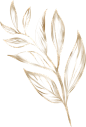 春季唯美水彩手绘鲜花植物花卉叶子请柬海报装饰免抠PNG图案素材 (33)