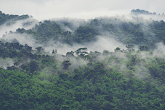 严小杜采集到风景（美好世界）