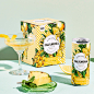 botanical illustration digital illustration ILLUSTRATION  package design  pattern design  cocktail Flowers fruits liquor pattern