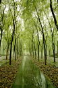 West Lake,Hangzhou,China