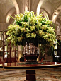 Hotel de Paris Monte Carlo amazing flowers: 