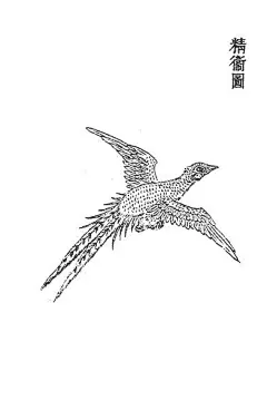 山海經-精衛：又北二百里，曰發鳩之山，其上多柘木。有鳥焉，其狀如烏，文首、白喙、赤足，名曰精衛，其鳴自詨。是炎帝之少女，名曰女娃，女娃遊于東海，溺而不返，故為精衛，常銜西山之木石，以堙于東海。漳水出焉，東流注于河。