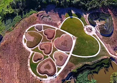 大瓦子采集到好玩