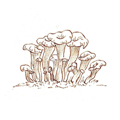 F04YWIvc采集到线稿