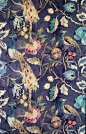 花的纹理设计 | 来自艺术家 James Dunlop Fabrics