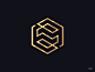 Letter s logo symbol