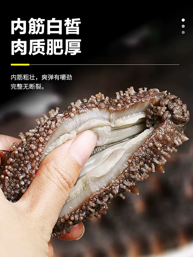 海参即食刺参大连新鲜活淡干海叁辽参干货野生海生海鲜单个装袋子-tmall.com天猫-花瓣网
