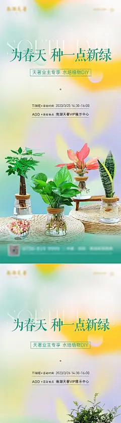 多肉水培绿植活动海报