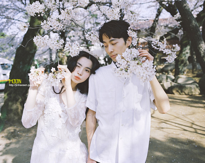樱 。花_10