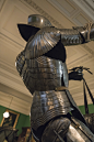 Medieval Armor (451)