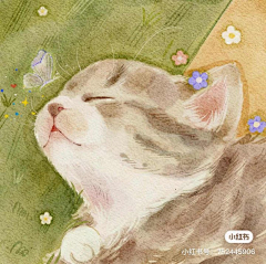 猕猴桃neo采集到狗狗猫猫手账