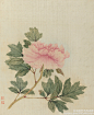 #工笔画#【 清 蒋廷锡 《仿宋人设色图册》 】册页（十二开），绢本设色，29.8×24.5cm×12。 此册以没骨法作写生十二种，或一花独放，或杂卉争妍，或鸟鸣枝头，或鱼入荇草，或彩蝶穿叶，或狸奴扑食。用笔秀谨，一丝不苟；设色艳丽，而自趋淡冶。其中数幅蝴蝶，都精描细染，真有粉欲脱，翅欲活之感。