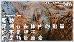 原来系周大茵采集到文案