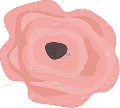 乡村风格,分离着色,式样,自然,华丽的,清新,图像,植物群,花,装饰