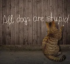 点击来源直接获取大图文件 |猫在栅栏上用粉笔画字